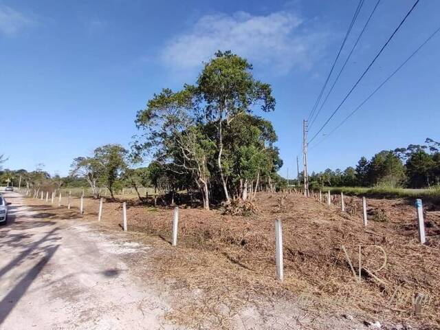 #0041 - Terreno para Venda em Balneário Barra do Sul - SC - 3