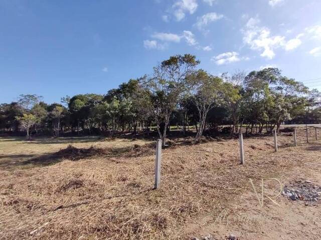 #0041 - Terreno para Venda em Balneário Barra do Sul - SC - 2