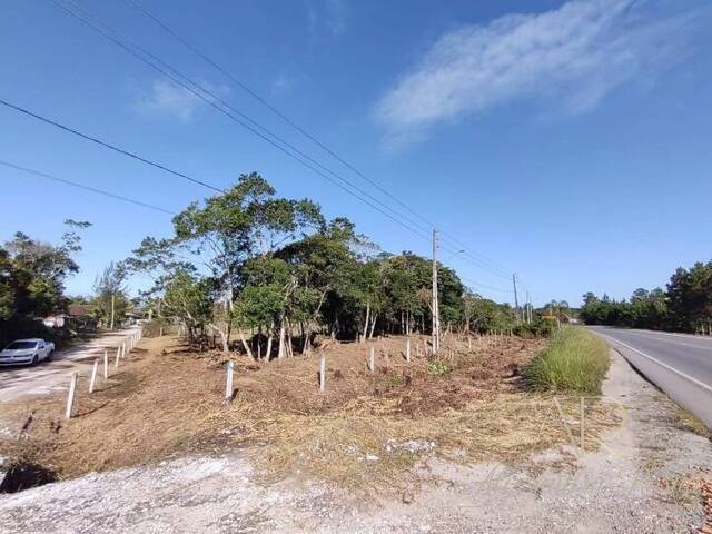 Venda em Pinheiros - Balneário Barra do Sul