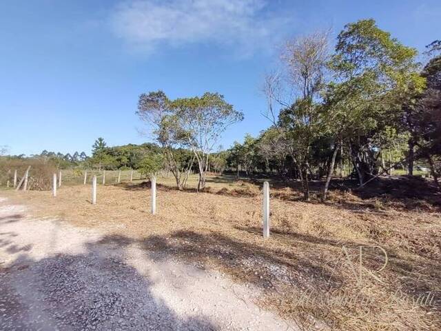Terreno para Venda em Balneário Barra do Sul - 5