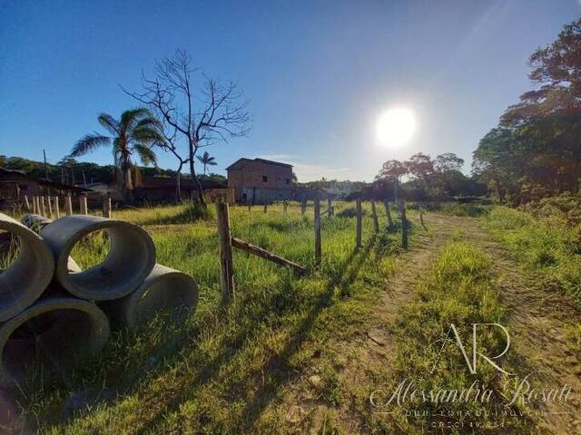 Terreno para Venda em Balneário Barra do Sul - 4