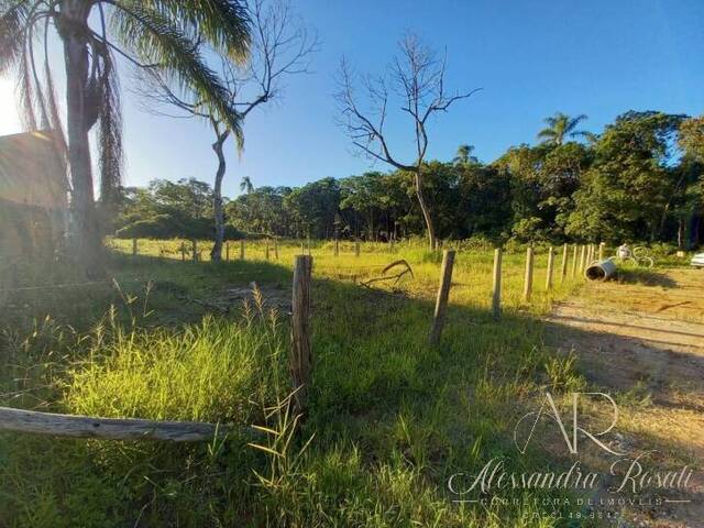 Terreno para Venda em Balneário Barra do Sul - 5