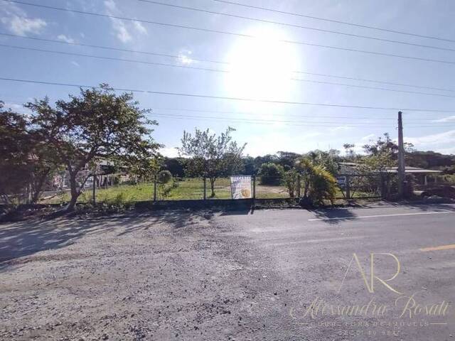 #0005 - Área para Venda em Balneário Barra do Sul - SC - 2