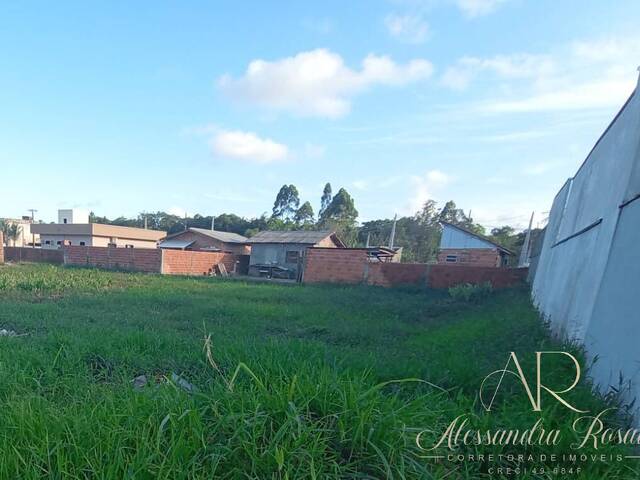 Área para Venda em Balneário Barra do Sul - 4
