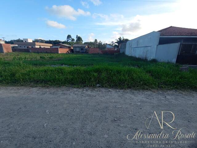 Área para Venda em Balneário Barra do Sul - 5