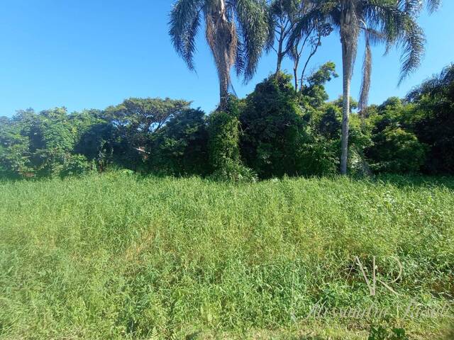 #142 - Área para Venda em Balneário Barra do Sul - SC - 2