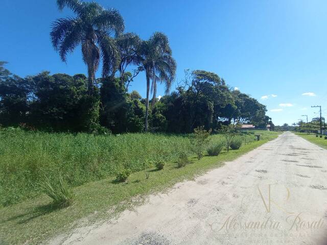 #142 - Área para Venda em Balneário Barra do Sul - SC - 1