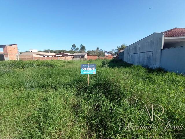 #0085 - Área para Venda em Balneário Barra do Sul - SC - 1
