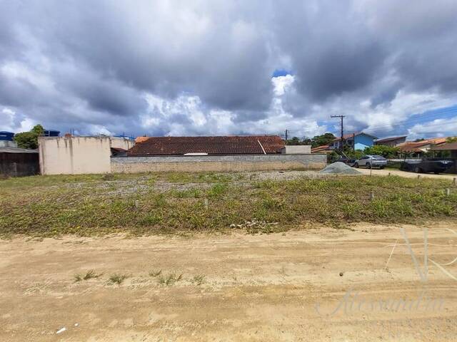 Área para Venda em Balneário Barra do Sul - 4