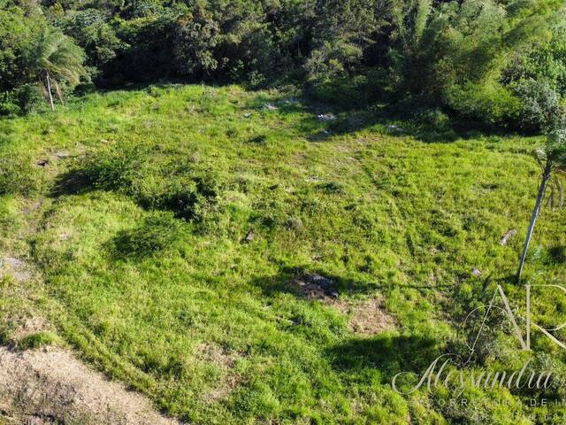 Área para Venda em Balneário Barra do Sul - 5