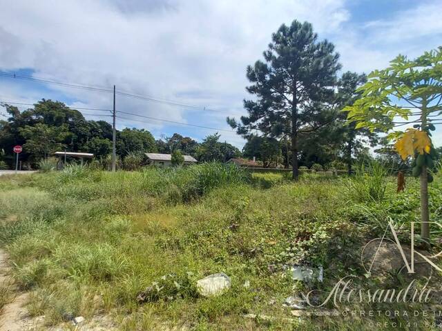 #215 - Área para Venda em Balneário Barra do Sul - SC - 1