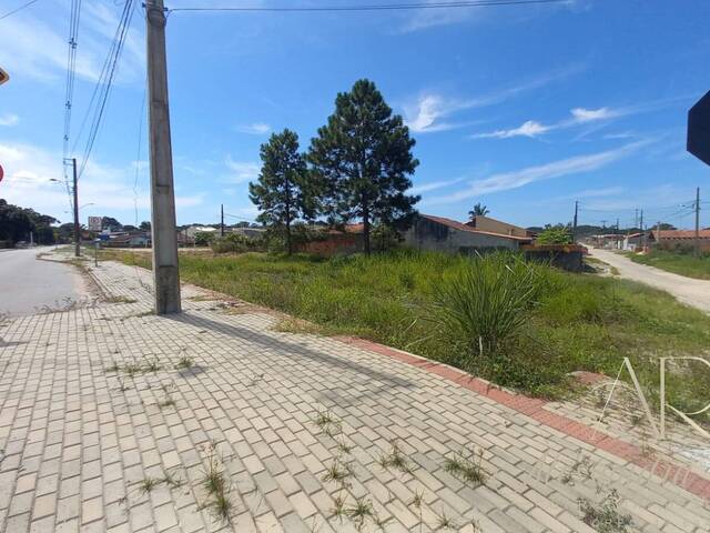 Área para Venda em Balneário Barra do Sul - 4