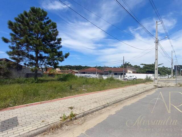 #215 - Área para Venda em Balneário Barra do Sul - SC - 2