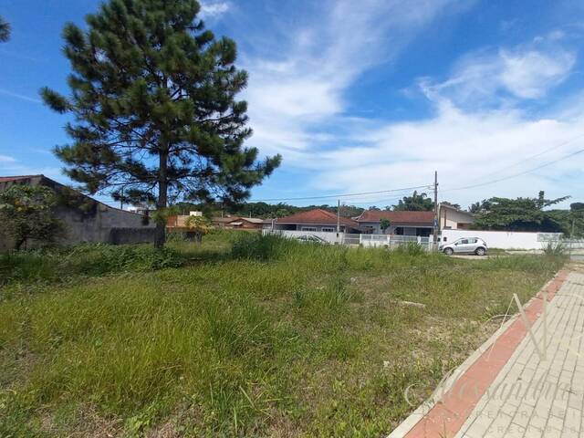 #215 - Área para Venda em Balneário Barra do Sul - SC - 3