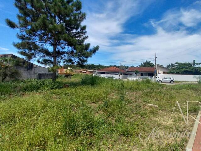 Área para Venda em Balneário Barra do Sul - 5