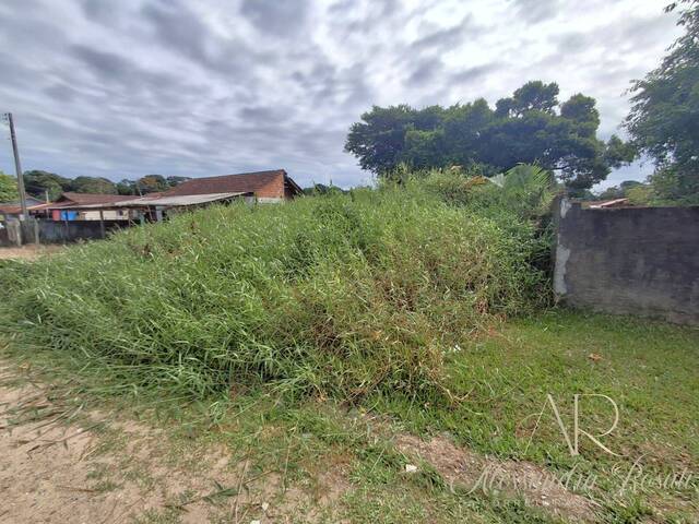 Área para Venda em Balneário Barra do Sul - 5