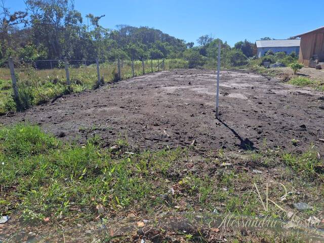 #230 - Área para Venda em Balneário Barra do Sul - SC - 1