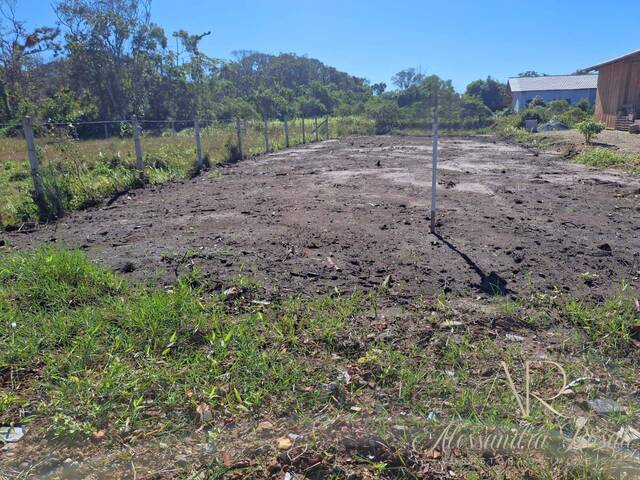 Área para Venda em Balneário Barra do Sul - 4