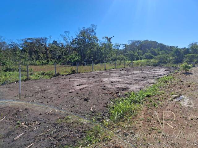 Área para Venda em Balneário Barra do Sul - 5