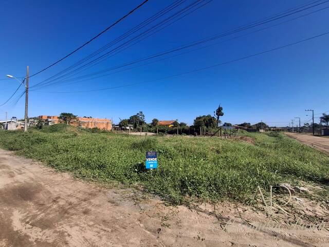 Área para Venda em Balneário Barra do Sul - 5