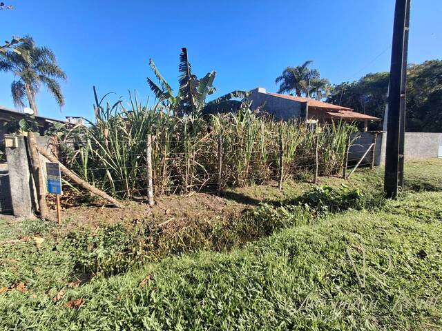 Área para Venda em Balneário Barra do Sul - 4