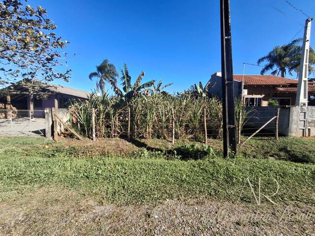 #242 - Área para Venda em Balneário Barra do Sul - SC - 3