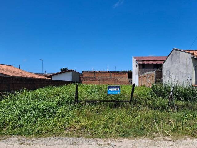 #249 - Área para Venda em Balneário Barra do Sul - SC - 3