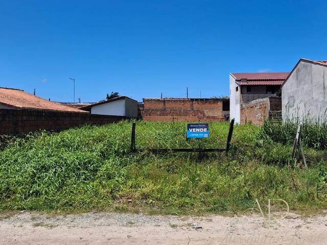 Área para Venda em Balneário Barra do Sul - 4