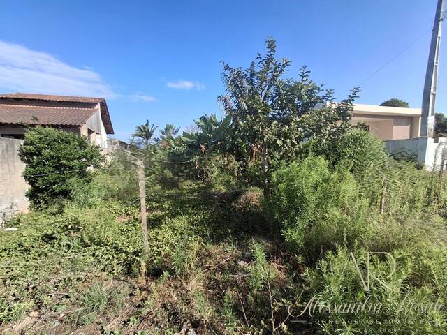 #254 - Área para Venda em Balneário Barra do Sul - SC - 2