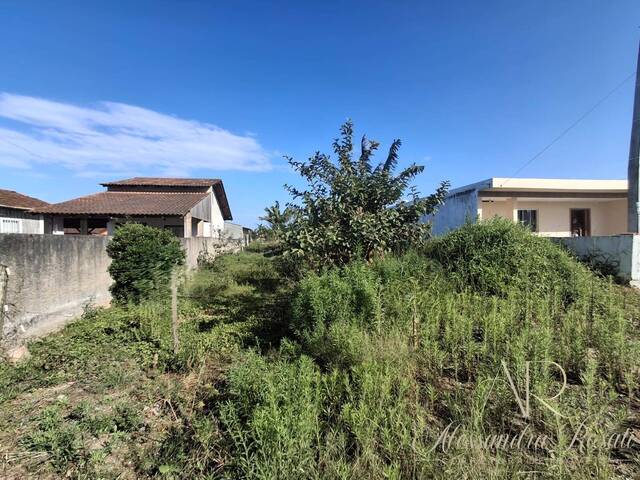 Área para Venda em Balneário Barra do Sul - 4