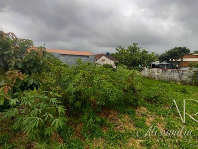 #260 - Área para Venda em Balneário Barra do Sul - SC - 1