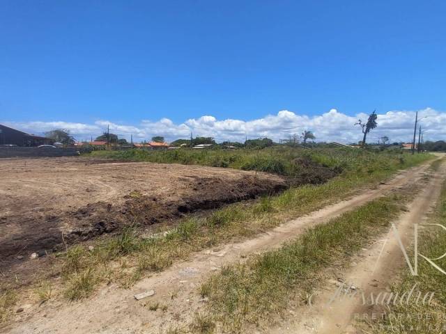 #240 - Área para Venda em Balneário Barra do Sul - SC - 3