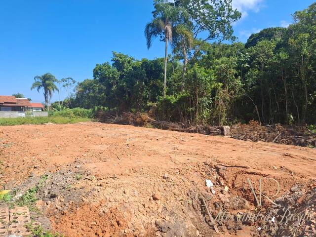 #263 - Área para Venda em Balneário Barra do Sul - SC - 1