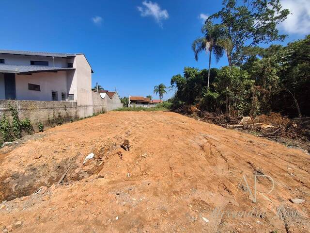 #263 - Área para Venda em Balneário Barra do Sul - SC - 3