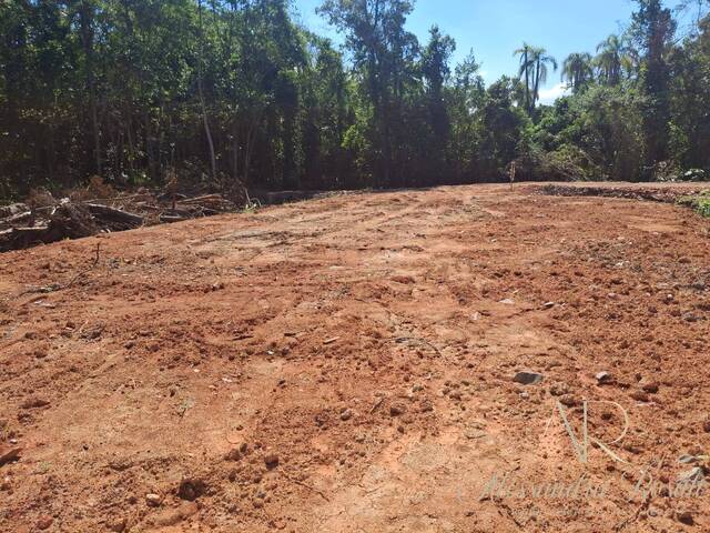 Área para Venda em Balneário Barra do Sul - 4
