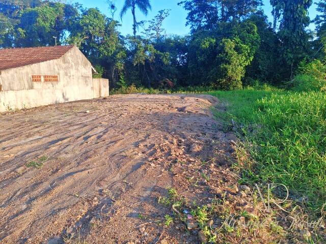 #276 - Área para Venda em Balneário Barra do Sul - SC - 2