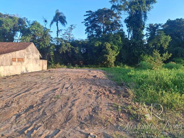 #276 - Área para Venda em Balneário Barra do Sul - SC - 3