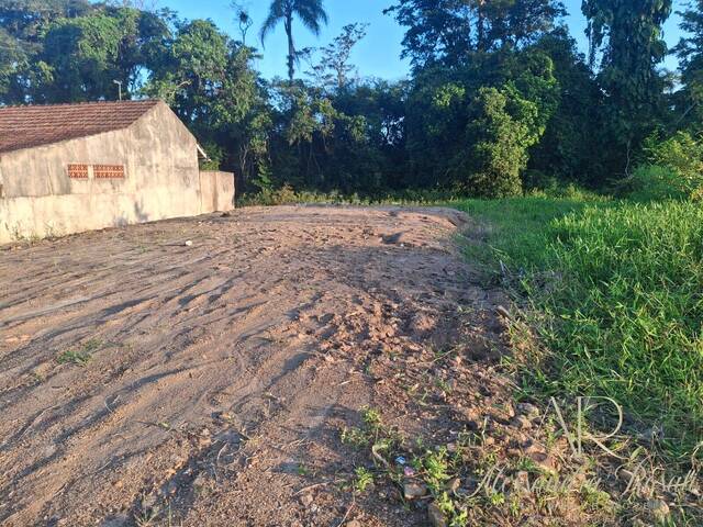 Área para Venda em Balneário Barra do Sul - 4