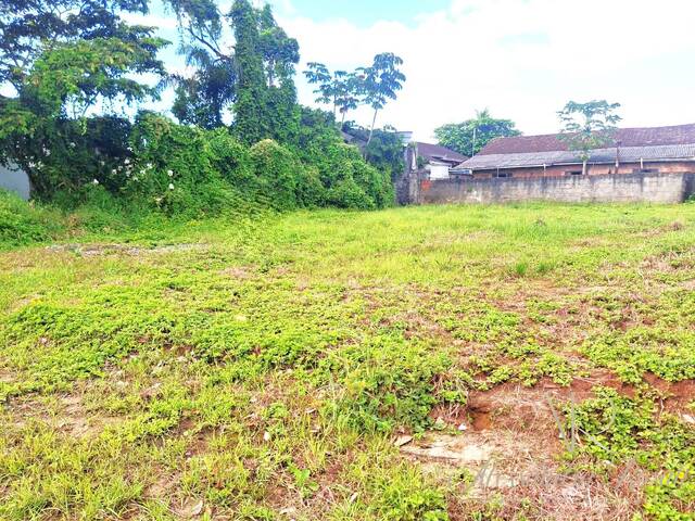 #278 - Terreno para Venda em Balneário Barra do Sul - SC - 3
