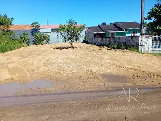 #260 - Área para Venda em Balneário Barra do Sul - SC - 1