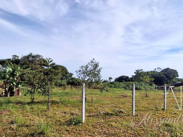 Área para Venda em Balneário Barra do Sul - 3