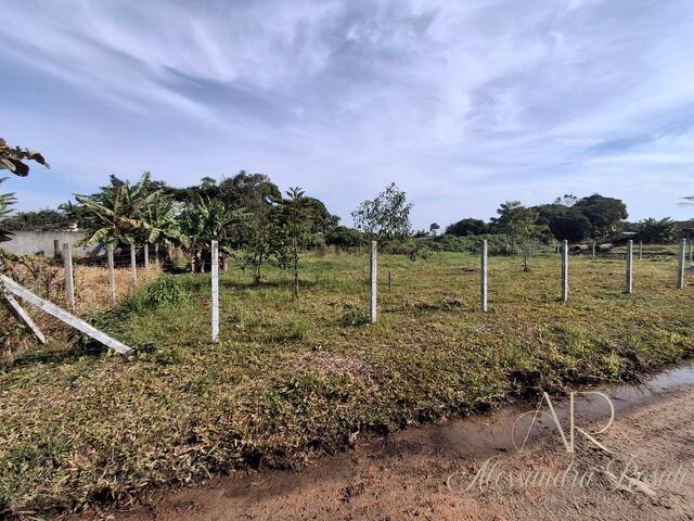 Área para Venda em Balneário Barra do Sul - 4