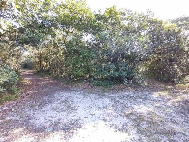 Área para Venda em Balneário Barra do Sul - 4