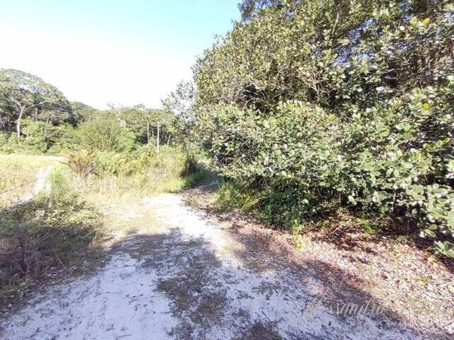 Área para Venda em Balneário Barra do Sul - 5