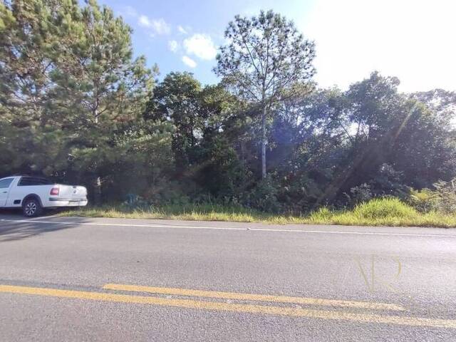 #0001 - Área para Venda em Balneário Barra do Sul - SC - 3