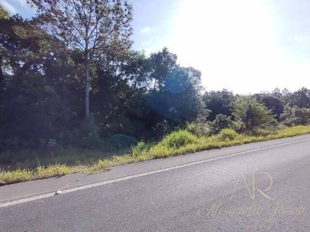 #0001 - Área para Venda em Balneário Barra do Sul - SC - 1