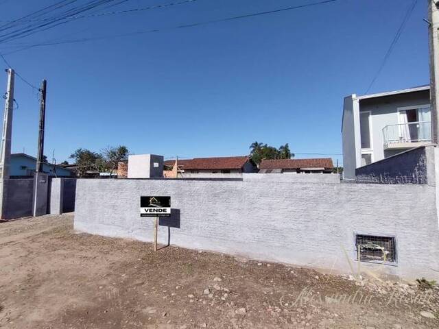 #0028 - Terreno para Venda em Balneário Barra do Sul - SC - 3