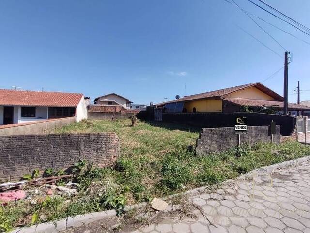 #0039 - Terreno para Venda em Balneário Barra do Sul - SC - 3
